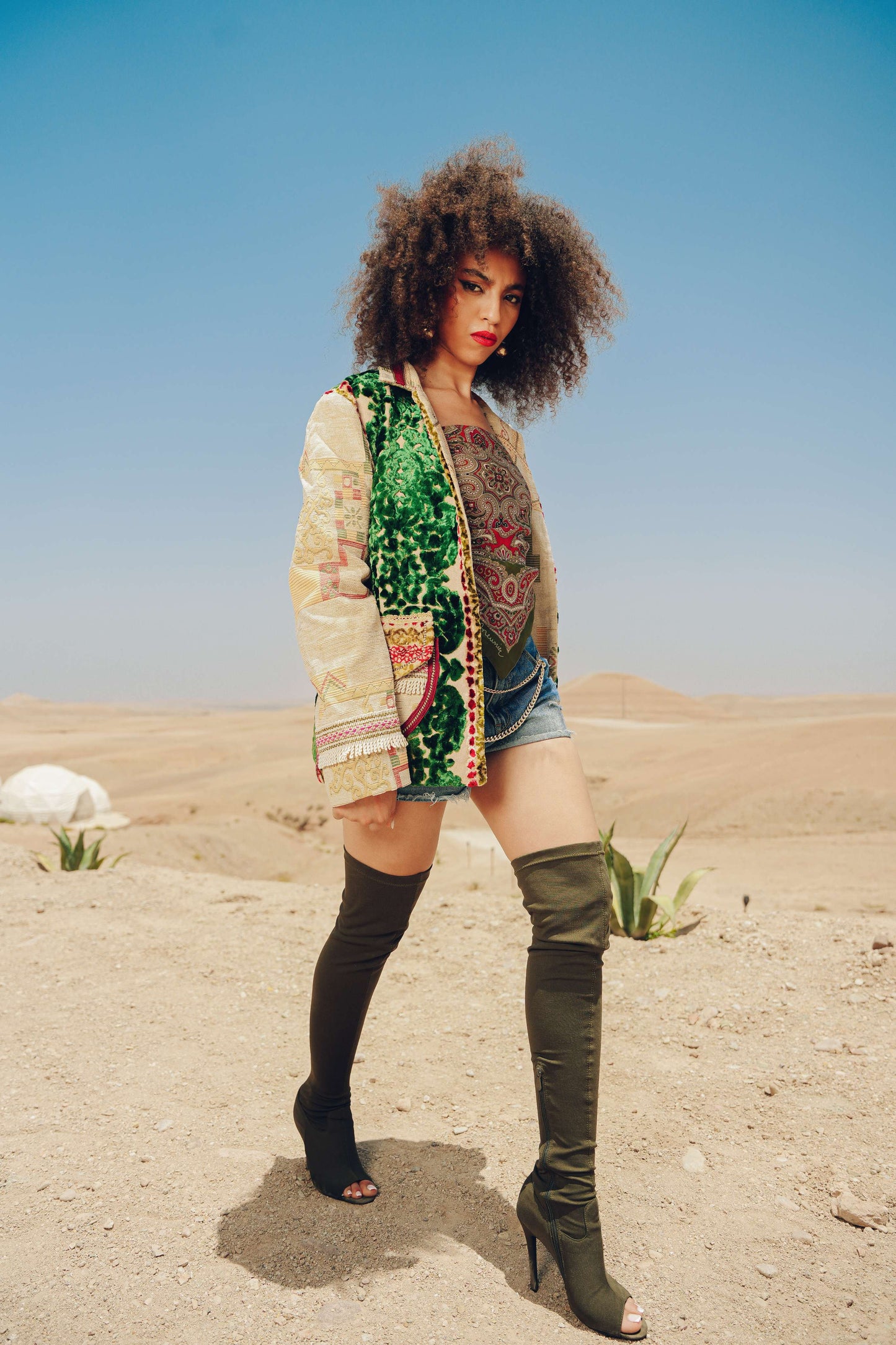 Argan Grove Jacket