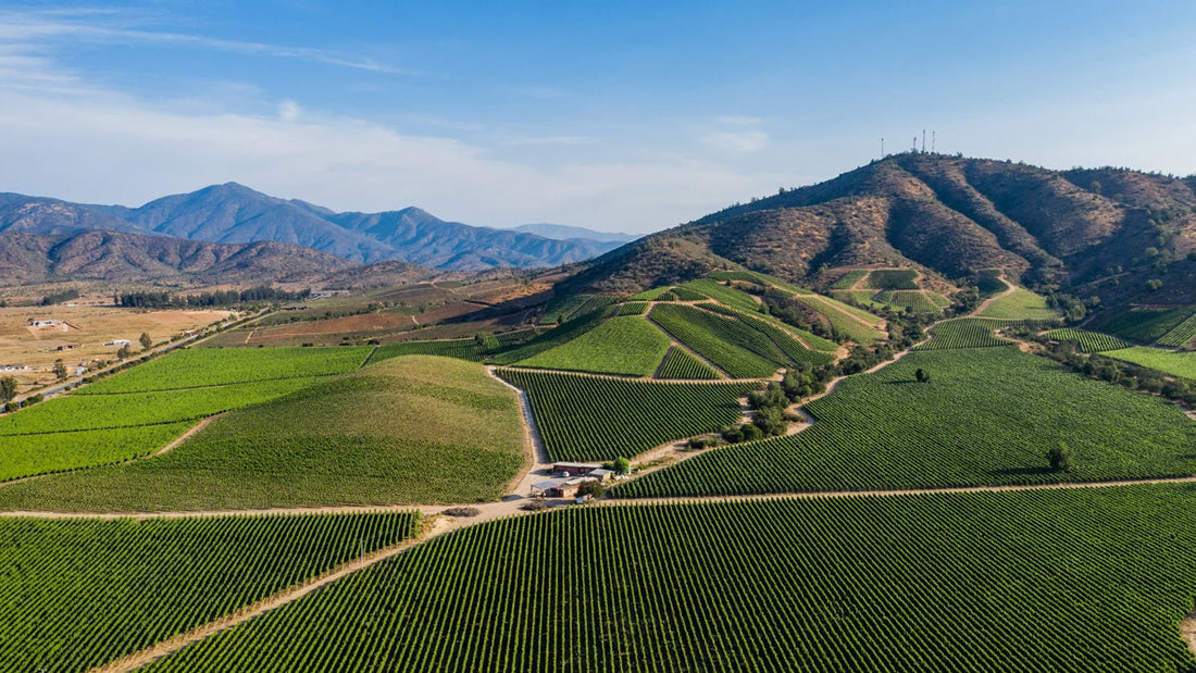 A Wine Lover’s Guide to the Casablanca Valley: Sipping Sauvignon Blanc & Pinot Noir in Chile’s Coastal Wine Country